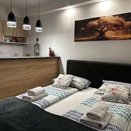 Cozy Studio Cik-Cak Doboj Extérieur photo
